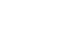 Logo TravelGrin navbar